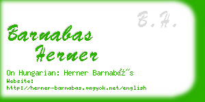 barnabas herner business card